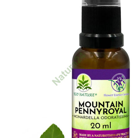 057. Horské máty - Kompozice FES 20ml - 2