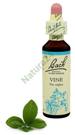 32. VÍNO / Vinná réva pravá 20 ml Nelson Bach Original Flower Remedies