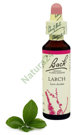 19. LARCH / Modřín evropský 20 ml Nelson Bach Original Flower Remedies
