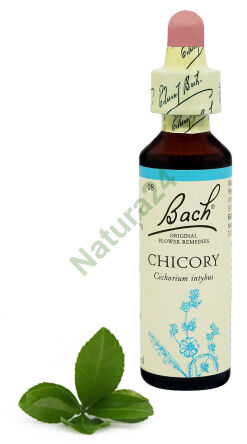 8. CHICORY / Cikorka cestovatel 20 ml Nelson Bach Original Flower Remedies