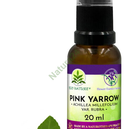 067. Růžový řebříček - Kompozice FES 20ml - 2