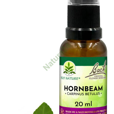 17. HORNBEAM / Habr obecný - Kompozice Bach Original Flower Remedies Nelson 20ml - 2