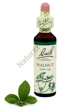 33. VLAŠSKÝ OŘECH / Orzech włoski 20 ml Nelson Bach Original Flower Remedies