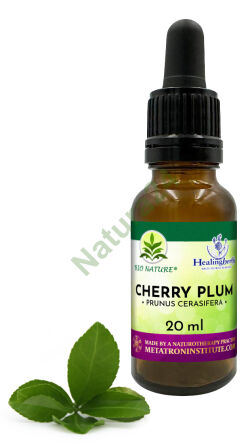 06. CHERRY PLUM / Třešeň švestka - Kompozice HealingHerbs 20ml