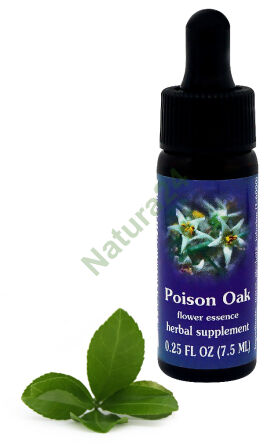 FES Poison Oak 7,5 ml kapky
