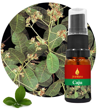 06. Caju 10 ml Ararêtama Esence deštného pralesa