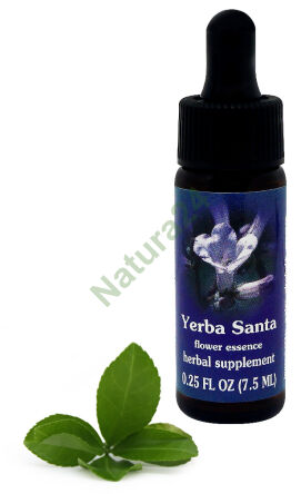 FES Yerba Santa 7,5 ml kapky