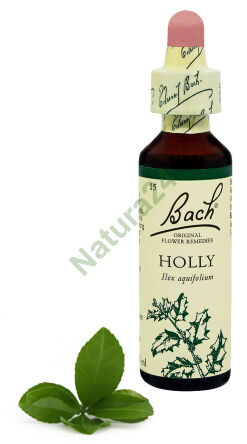 15. HOLLY / Cesmína ostrolistá 20 ml Nelson Bach Original Flower Remedies