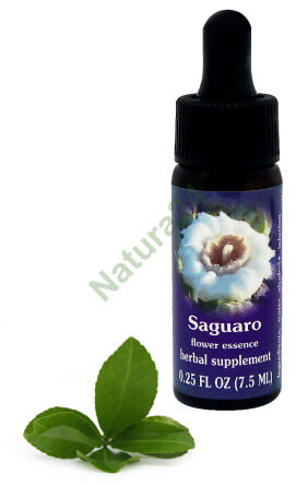 FES Saguaro 7,5 ml kapky