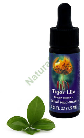 FES Tiger Lily 7,5 ml kapky