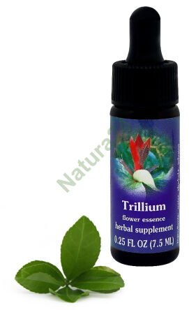 FES Trillium 7,5 ml kapky