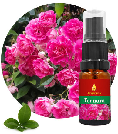 60. Jemnost Ternura 10 ml Ararêtama Rainforest Essences