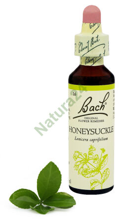 16. HONEYSUCKLE / Zimolez průlom 20 ml Nelson Bach Original Flower Remedies