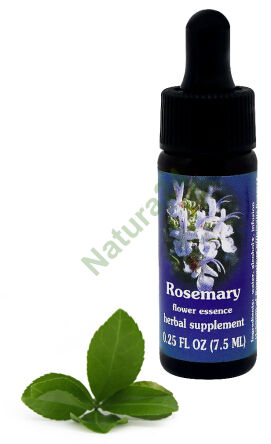 FES Rozmarýn 7,5 ml kapky