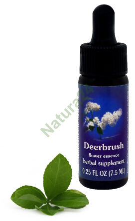 FES Deerbrush 7,5 ml kapky