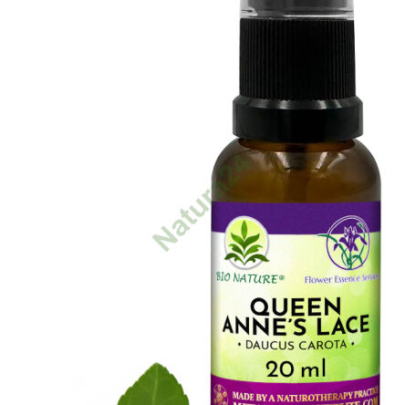 073. Královna Anna Krajka - Kompozice FES 20ml - 2