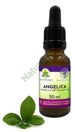 004. Angelica - Kompozice FES 20ml
