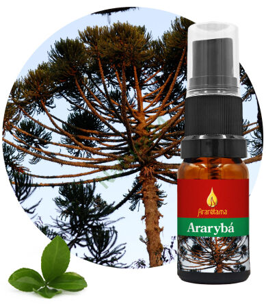 01. Ararybá 10 ml Ararêtama Esence deštného pralesa
