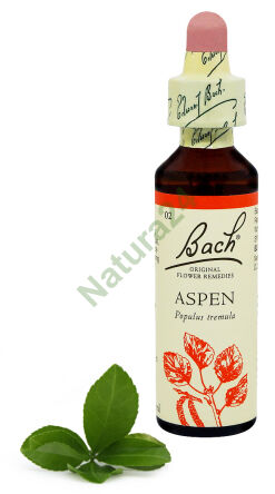 2. ASPEN / Osika 20 ml Nelson Bach Originální květové esence