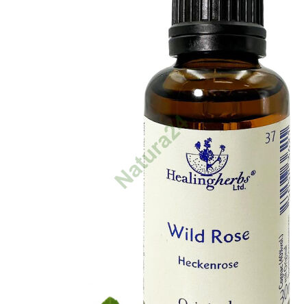 37. DIVOKÁ RŮŽE 10/30 ml nebo globule 15 g - 3